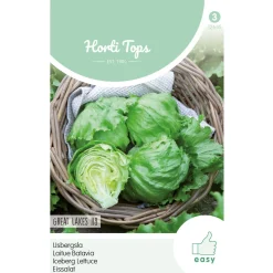 Hortitops Ijssla Great Lakes 118 - Groentezaden - 2 g