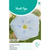 Hortitops Ipomoea - Klimmende Winde Milky Way - Bloemenzaden - 2 g
