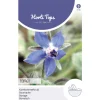 Hortitops Komkommerkruid (Borage) - Kruidenzaden - 2 g