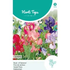Hortitops Lathyrus - Reuk- Of Siererwt Colorama Gemengd - Bloemenzaden - 5 g