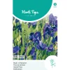 Hortitops Lathyrus - Reuk- Of Siererwt Royal Family Blauw - Bloemenzaden - 2 g