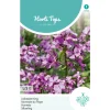 Hortitops Lunaria - Judaspenning Violet - Bloemenzaden - 1 g