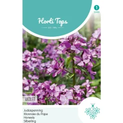 Hortitops Lunaria - Judaspenning Violet - Bloemenzaden - 1 g