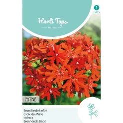 Hortitops Lychnis - Brandende Liefde - Bloemenzaden - 250 mg