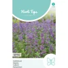 Hortitops Nepeta - Kattenkruid - Bloemenzaden - 250 mg