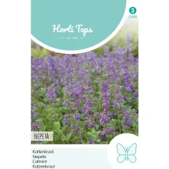 Hortitops Nepeta - Kattenkruid - Bloemenzaden - 250 mg