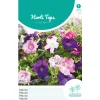Hortitops Petunia Laag Gemengd - Bloemenzaden - 200 mg