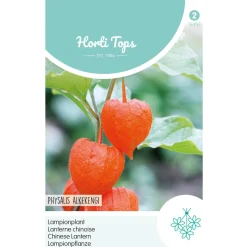 Hortitops Physalis - Lampionplant - Bloemenzaden - 250 mg