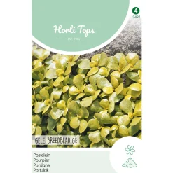 Hortitops Postelein Gele Breedbladige - Groentezaden - 5 g