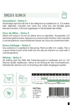 Hortitops Savooiekool Vertus 3  (Grote Late Groene) - Groentezaden - 2 g