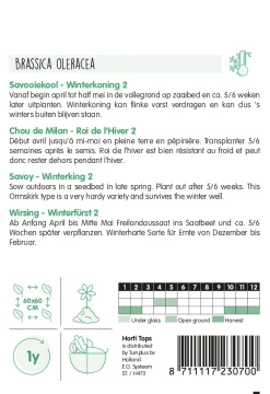Hortitops Savooiekool Winterkoning 2 - Groentezaden - 50 stuks