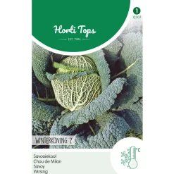 Hortitops Savooiekool Winterkoning 2 - Groentezaden - 50 stuks