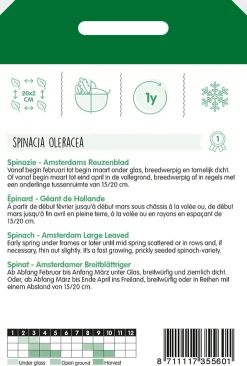 Hortitops Spinazie Amsterdams Reuzenblad Scherpzaad - Groentezaden - 100 g