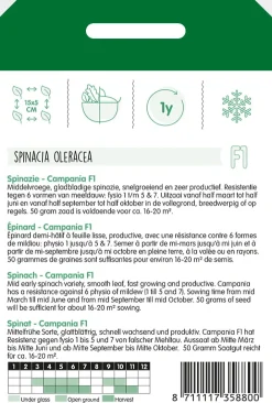 Hortitops Spinazie Campania F1 - Groentezaden - 50 g