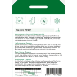 Hortitops Stamslabonen Fresano - Groentezaden - 100 g