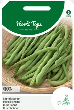 Hortitops Stamslabonen Odeon - Groentezaden - 50 g