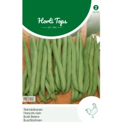Hortitops Stamslabonen Prelude - Groentezaden - 25 g
