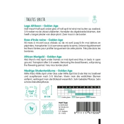 Hortitops Tagetes - Lage Afrikaan Golden Age - Bloemenzaden - 500 mg