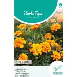 Hortitops Tagetes - Lage Afrikaan Petite Orange - Bloemenzaden - 1 g