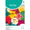 Hortitops Tropaeolum - Oost-Indische Kers Jewel - Bloemenzaden - 3 g