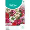 Hortitops Verbena - Ijzerhard Ideal Florist Gemengd - Bloemenzaden - 500 mg