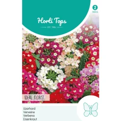 Hortitops Verbena - Ijzerhard Ideal Florist Gemengd - Bloemenzaden - 500 mg