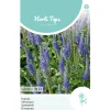 Hortitops Veronica - Ereprijs Blauw - Bloemenzaden - 150 mg