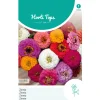 Hortitops Zinnia Liliput Gemengd - Bloemenzaden - 1.5 g