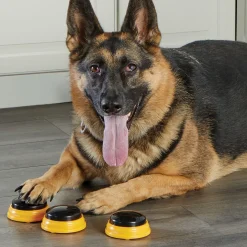 Hunger For Words Talking Pet Namen - Hondenspeelgoed - Geel Zwart