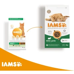Iams Cat Adult - Kattenvoer - Lam 3 kg