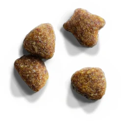 Iams Cat Adult - Kattenvoer - Lam 10 kg