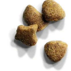 Iams Cat Adult Hairball Kip - Kattenvoer