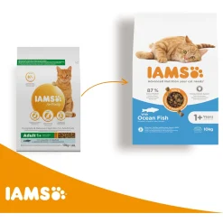 Iams Cat Adult Zeevis - Kattenvoer