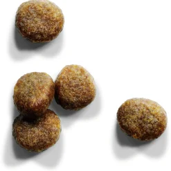 Iams Kitten & Junior Kip - Kattenvoer