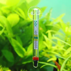 Jbl Aquarium Thermometer Float - Aquarium Toebehoren - Transparant