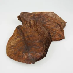 Jbl Catappa - Aquarium Toebehoren - Xl