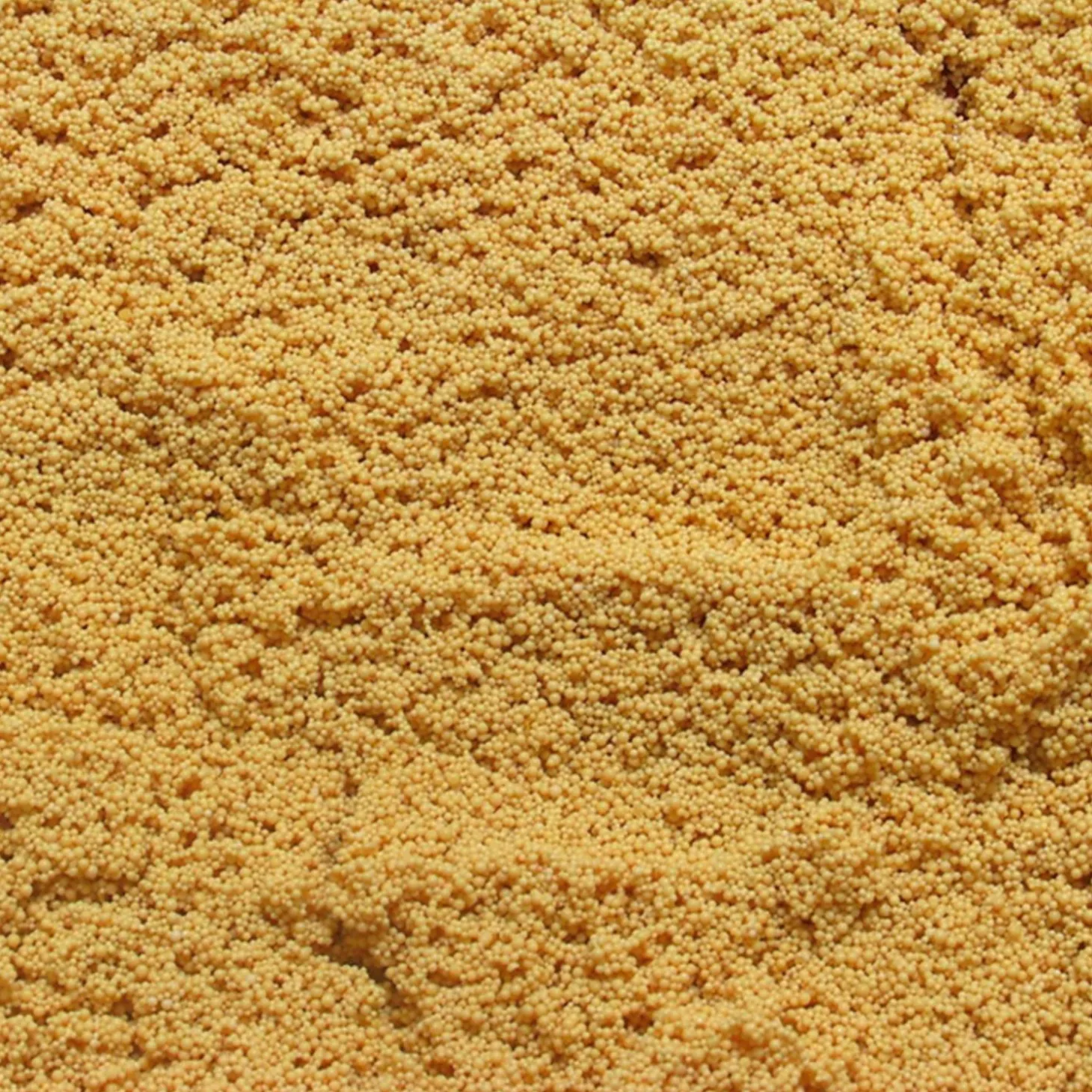 Jbl Nitratex - Filters - 170 g