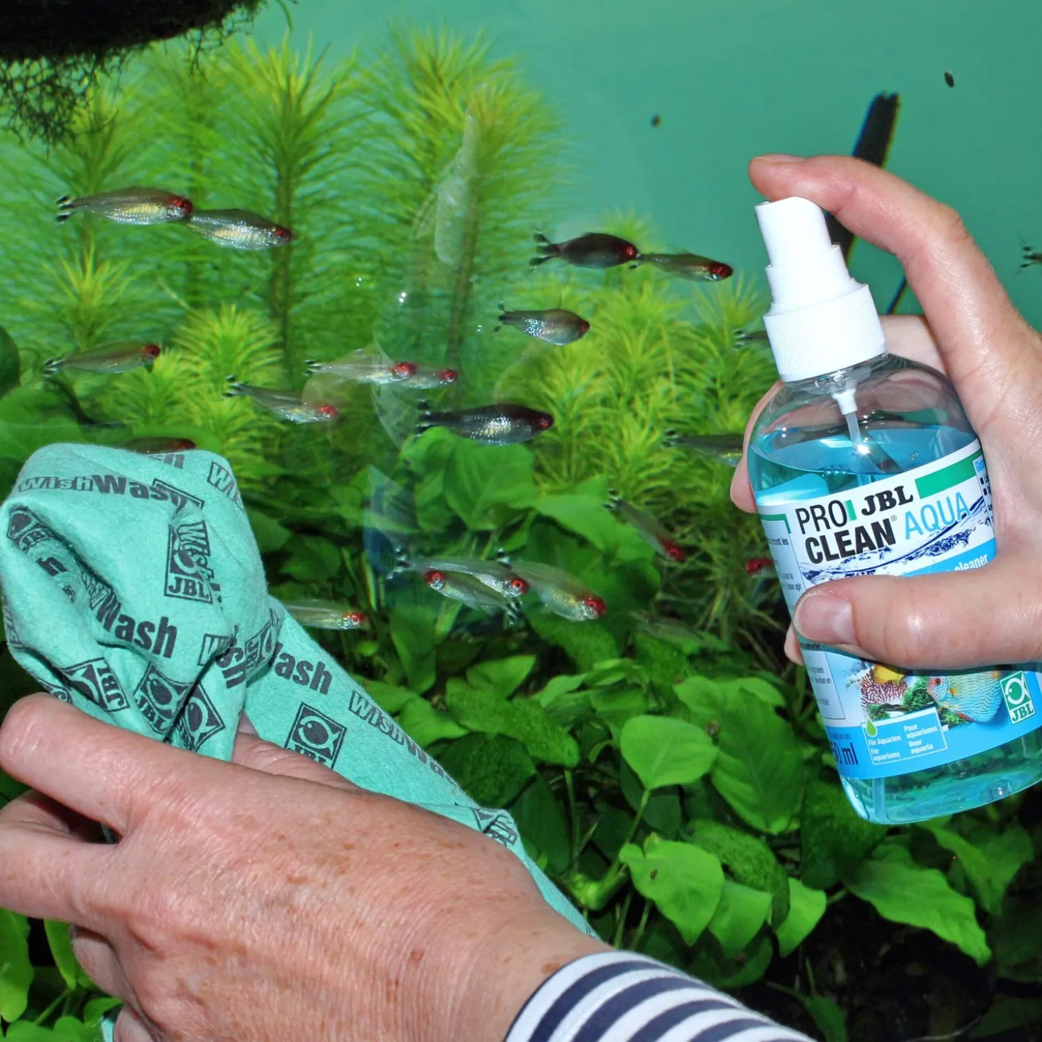 Jbl Proclean Aqua - Filters - 250 ml