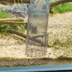 Jbl Proclean Aqua Ex 20-45 - Filters - 1 stuk