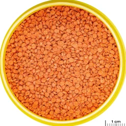 Jbl Pronovo Bits Grano Click M - Vissenvoer