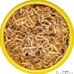 Jbl Pronovo Fil - Vissenvoer