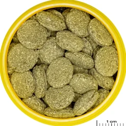 Jbl Pronovo Pleco Wafer M - Vissenvoer