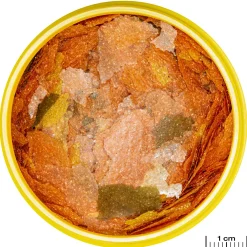 Jbl Pronovo Tanganyika Vlokken M - Vissenvoer