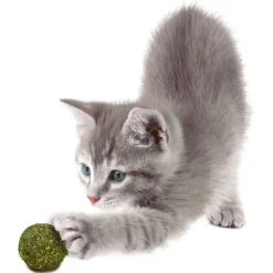 Jr Farm Catnip Knikker - Kattenspeelgoed - Ø2 cm 10 stuks