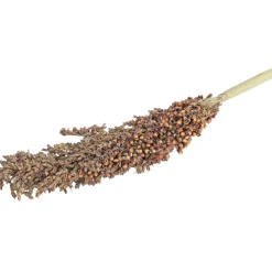 Jr Farm Dari Kolf - Ruwvoer - 13x3x39 cm 100 g