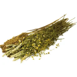 Jr Farm Kamille-Oogst - Ruwvoer - 16x3x60 cm 80 g