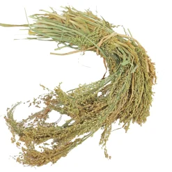 Jr Farm Parel Gierst - Vogelvoer - 14x5.5x30 cm 100 g