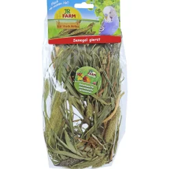 Jr Farm Senegal Gierst - Vogelvoer - 13x5x33 cm 50 g
