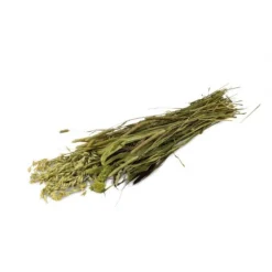 Jr Farm Weide-Oogst - Ruwvoer - 16x3x60 cm 80 g