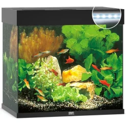 Juwel Aquarium Lido 120 Led 61x41x58 cm - Aquaria